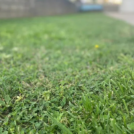 Apartamento La Casa Dei Ricordi